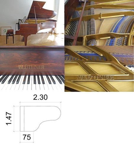 Blüthner konzertflügel 230cm - blüthner,