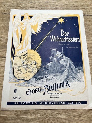 Der weihnachtsstern 13 - weihnachtsstern,