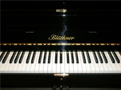 Bluthner metallic gold klavier - bluthner,