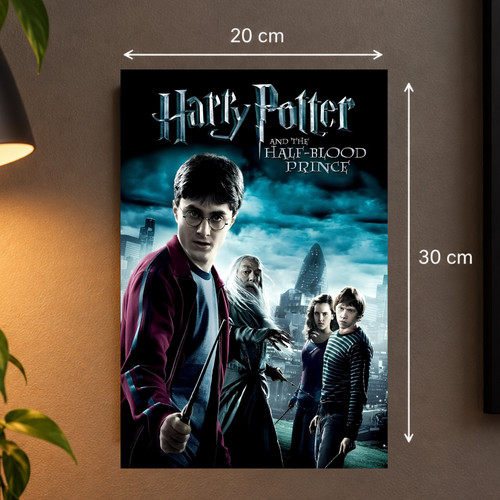 Blechschild harry potter - blechschild,