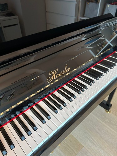 Piano haessler fon blüthner - fon,